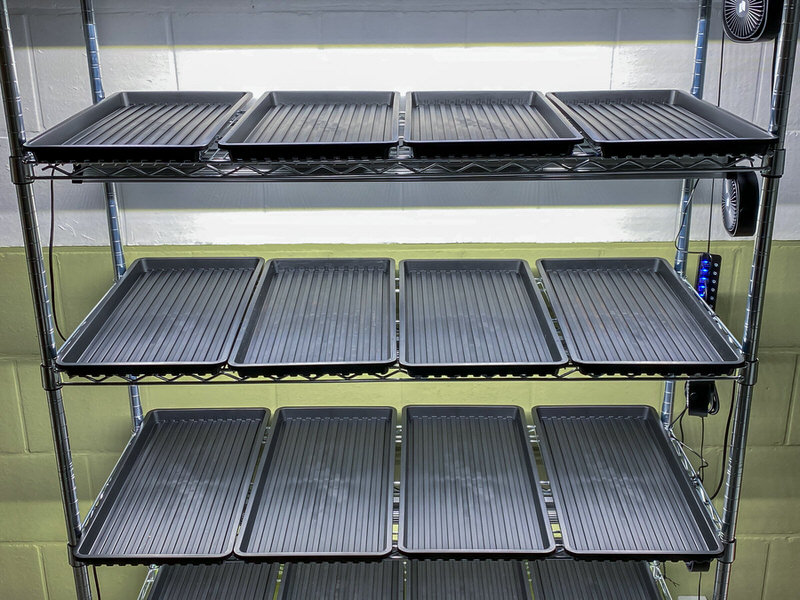 Rack with per shelf 4 Garland 1020 Microgreen Reservoir Trays Without Holes