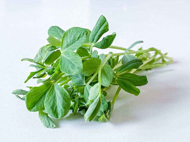 Speckled Pea microgreens bouquet