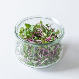Radish China Rose microgreens on a glass jar