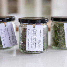 Microgreens on glass jars