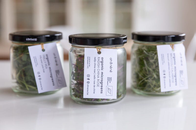 Microgreens on glass jars
