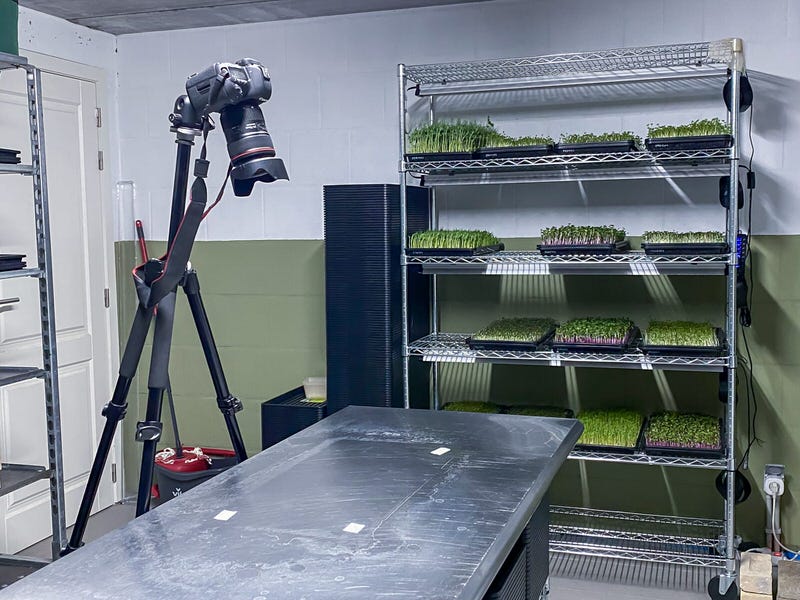 oh nènè microgreens growing room with a camera on a tripod