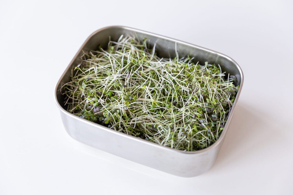 oh nènè Stainless Steel lunch box with microgreens
